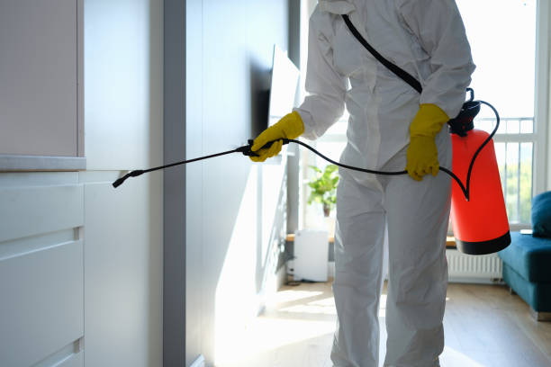 Crawl Space Mold Removal in Harvey, IL