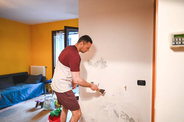 Mold Removal and Inspection in Harvey, IL